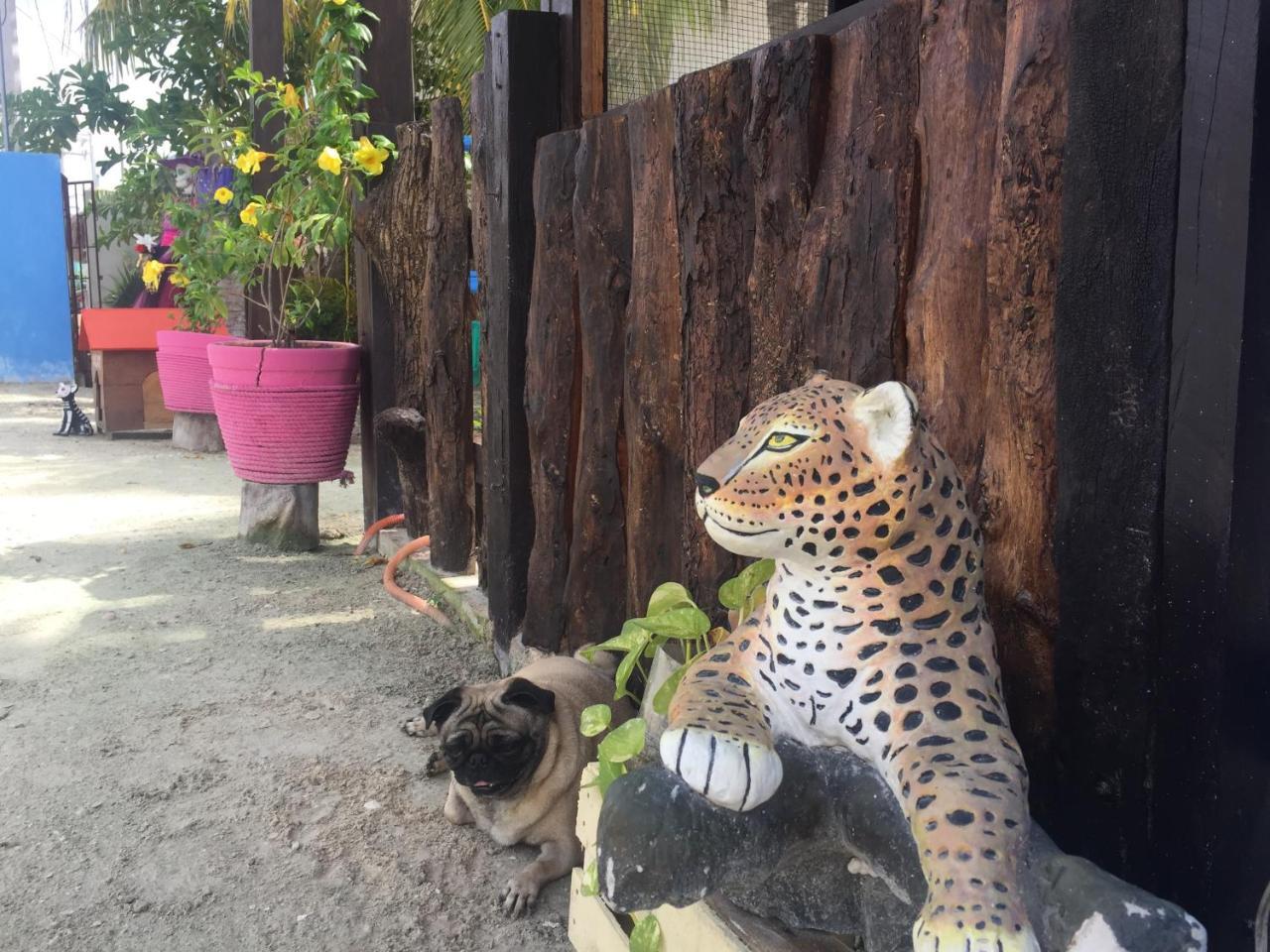 Hotel Hacienda La Catrina Ilha Holbox Exterior foto